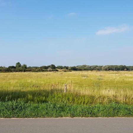 Appartement Soigner! Egmond-Binnen Dış mekan fotoğraf